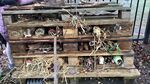 bug hotel9.jpg