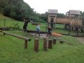 IMG_5996.JPG