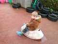 IMG_6007.JPG