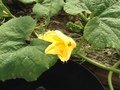 IMG_0183.JPG