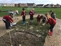 Yr 2 planting trees and wildfowers during climate change week.JPG