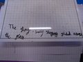 DSC00380.JPG