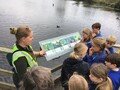 Pensthorpe2.jpeg