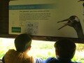 Pensthorpe3.jpeg