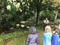 Pensthorpe5.jpeg