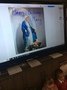 IMG_8007.jpeg