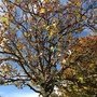 IMG_6172.JPG