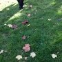 IMG_6174.JPG