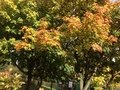 IMG_2098.JPG