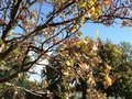 IMG_2118.JPG