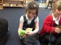 IMG_2160.JPG