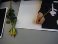 DSCF4240.JPG