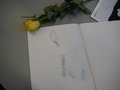 DSCF4247.JPG