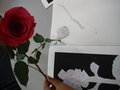 DSCF4250.JPG