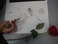 DSCF4253.JPG