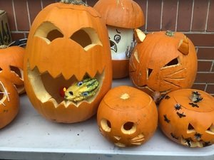 IMG_4545.JPG