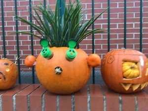 IMG_4575.JPG