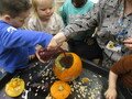 IMG_0085.JPG