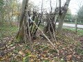 DSCF4329.JPG