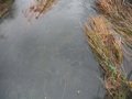 DSCF4437.JPG