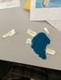 IMG_4733.jpeg