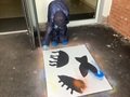 IMG_5073.jpeg