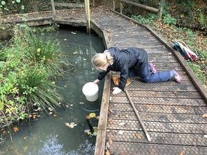 IMG_1058.JPG