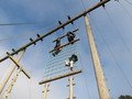 100_0109.JPG