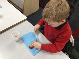 IMG_7995.JPG