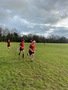 IMG_8435.jpg