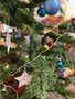 tree 2.jpg