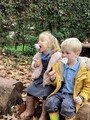 Forest School