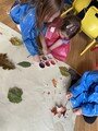 Leaf Pictures