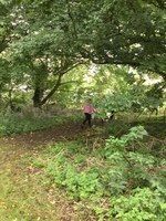 IMG_2707.JPG