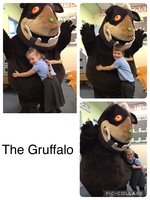 IMG_3095.jpeg