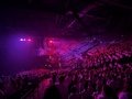 IMG_6460.jpg