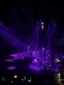 IMG_6481.jpg