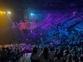 IMG_6485.jpg