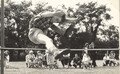 Gransden school sports day 1961c.jpg