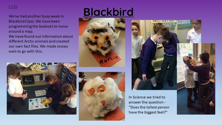 Slide1.JPG