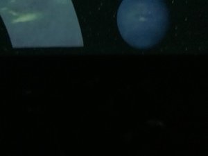 IMG_4646.JPG
