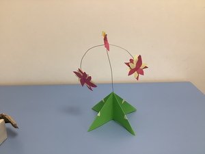 IMG_4661.JPG