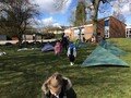 IMG_6931.JPG
