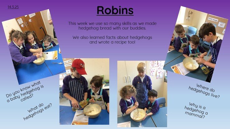 Robins  14.3.25 sheet 1.jpg