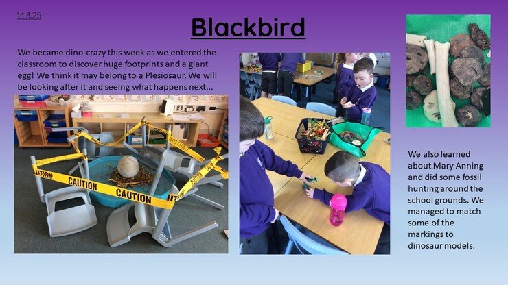 Slide1 (2).JPG