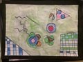 IMG_1382.jpeg