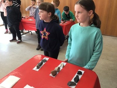 IMG_4984.JPG