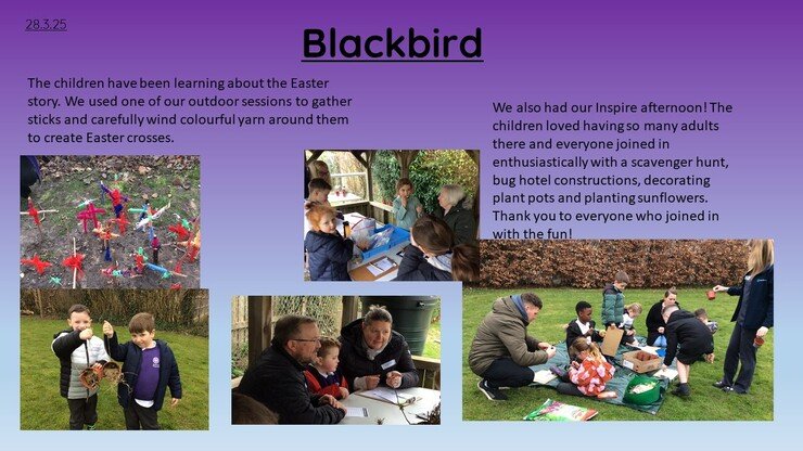 Blackbirds 28.3.25 1.jpg