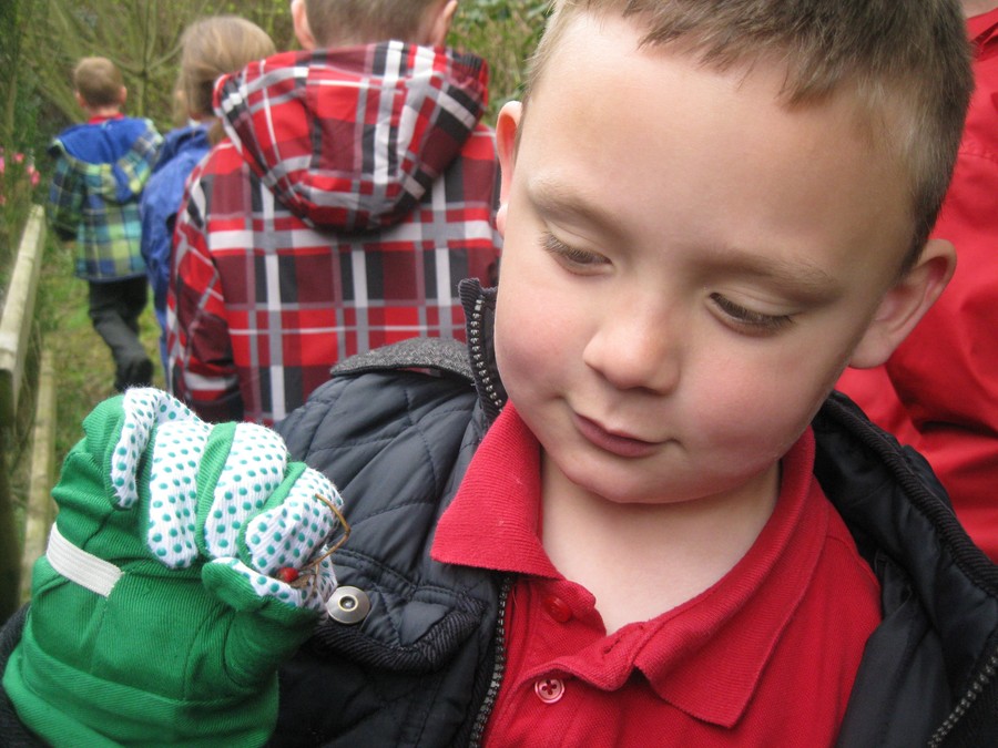 John has found a berry matching the reds on his group's colour card!