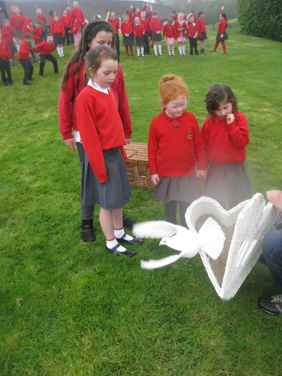 P2 and P3 pupils assisted by Flynn, P7 ECO Warrior, release one of Joe's pigeons.